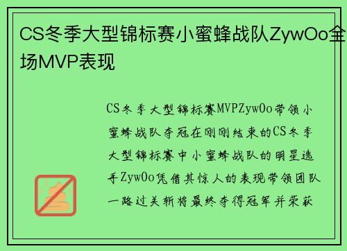 CS冬季大型锦标赛小蜜蜂战队ZywOo全场MVP表现